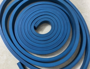 Thanh Trương Nở Hyperseal DP2010